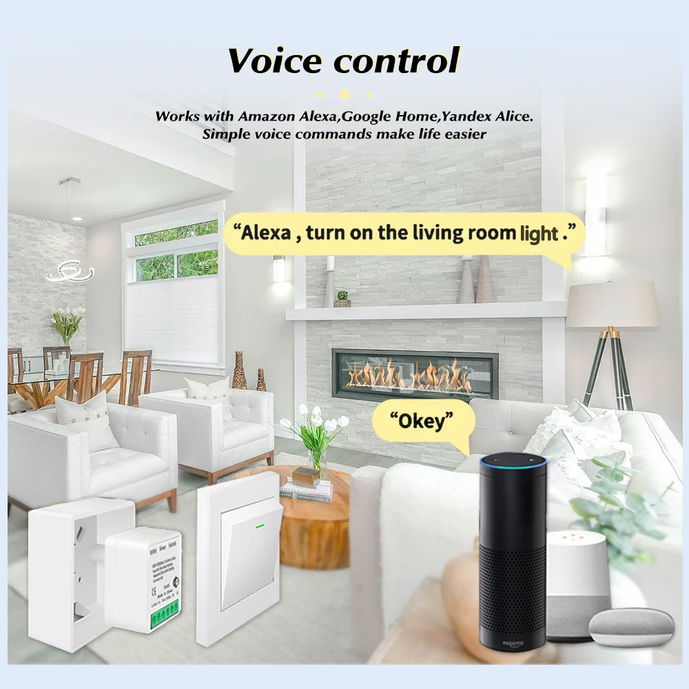 For Tuya Mini Smart WiFi Switc - огляд і ціна Diy Home Automation Controller
