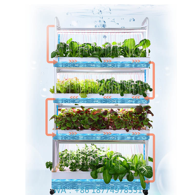 ydroponic Planting System Smar - огляд і ціна Diy Automation