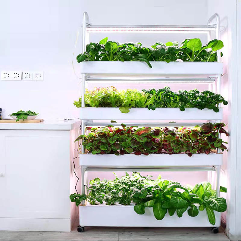ydroponic Planting System Smar - огляд і ціна Diy Automation