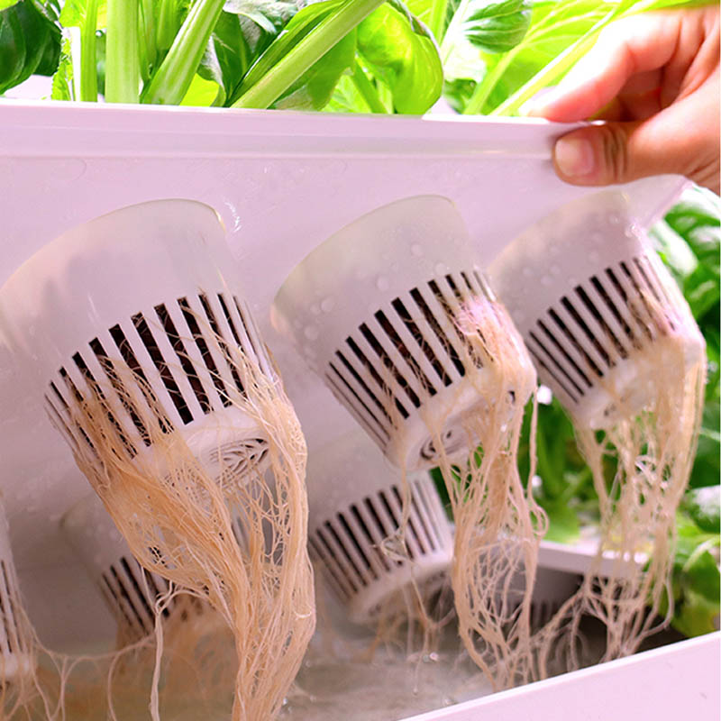 ydroponic Planting System Smar - огляд і ціна Diy Automation