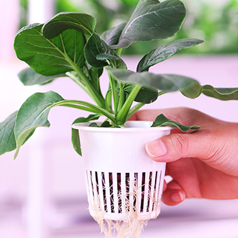 ydroponic Planting System Smar - огляд і ціна Diy Automation